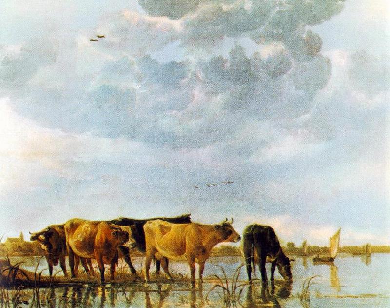 CUYP, Aelbert Cows in the Water Norge oil painting art